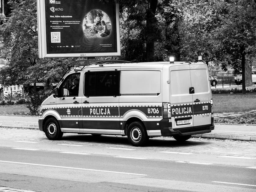 Kontrola dokumentów na granicy